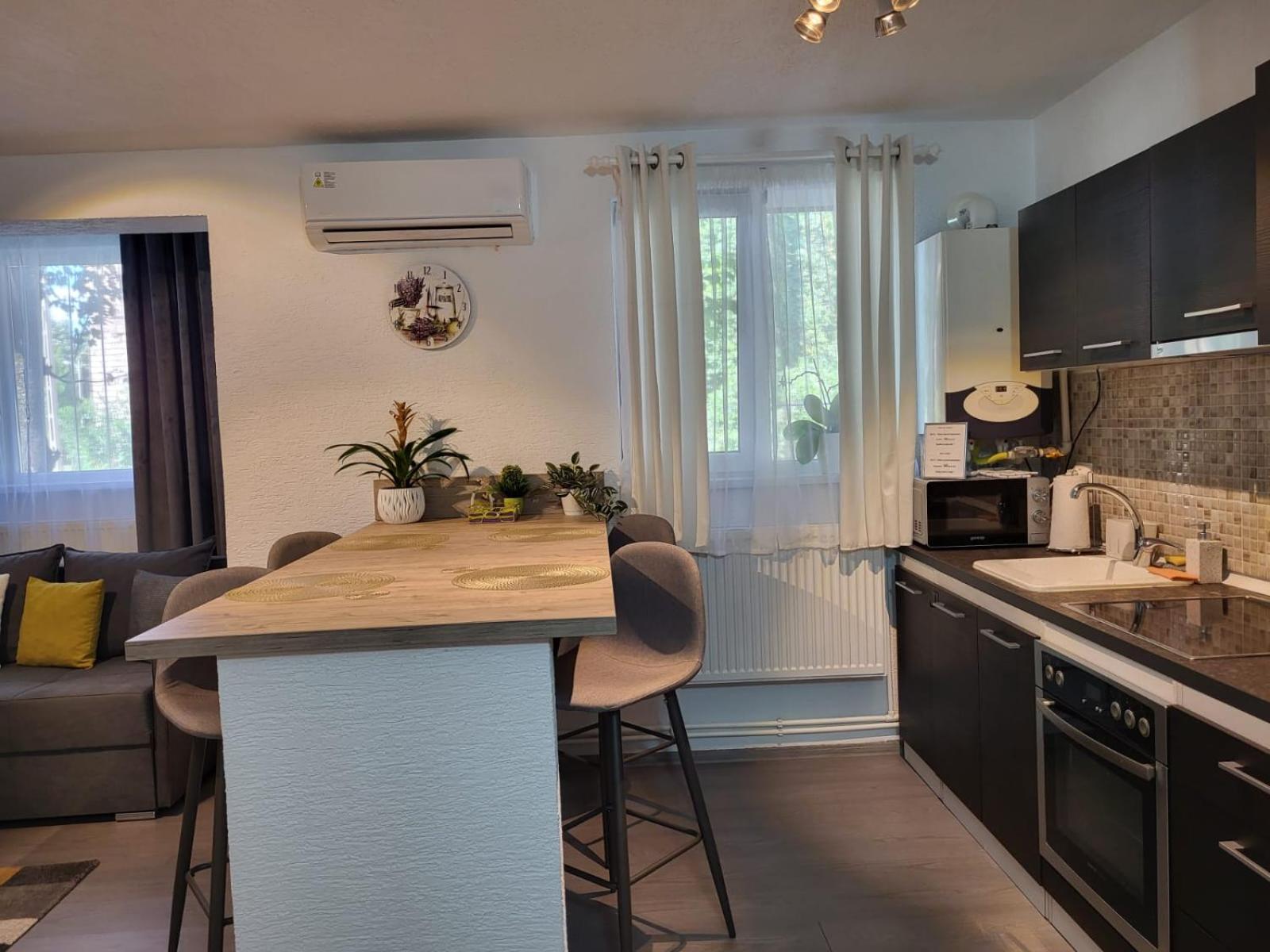 Mona Central Apartment Hunedoara Exteriér fotografie
